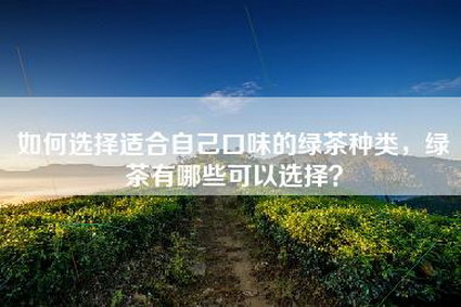 如何选择适合自己口味的绿茶种类，绿茶有哪些可以选择？