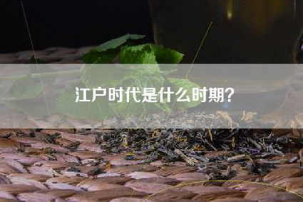 江户时代是什么时期？