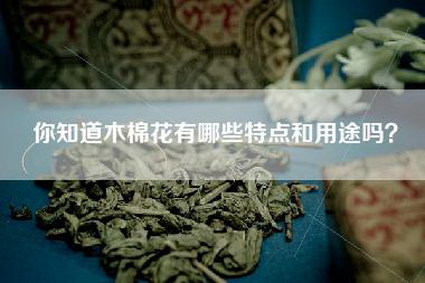 你知道木棉花有哪些特点和用途吗？