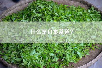 什么是日本茶道？