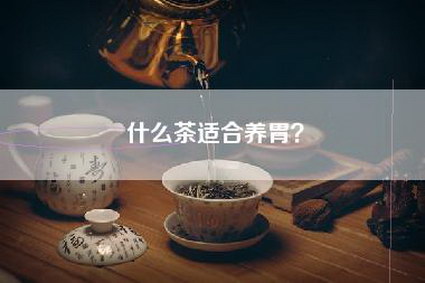 什么茶适合养胃？