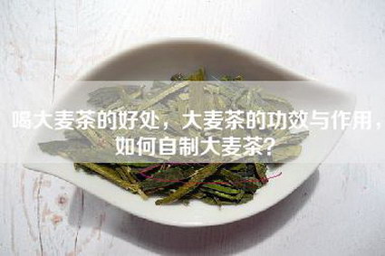 喝大麦茶的好处，大麦茶的功效与作用，如何自制大麦茶？