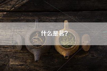 什么是茗？