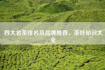 四大名茶排名及品牌推荐，茶叶知识大全