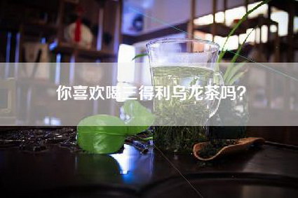 你喜欢喝三得利乌龙茶吗？