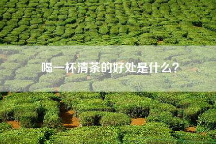 喝一杯清茶的好处是什么？