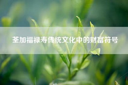 荃加福禄寿传统文化中的财富符号