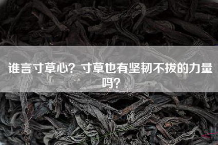 谁言寸草心？寸草也有坚韧不拔的力量吗？