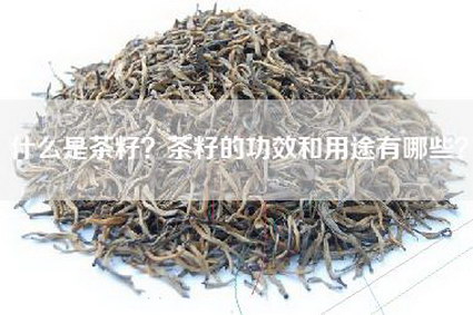 什么是茶籽？茶籽的功效和用途有哪些？