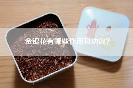 金银花有哪些作用和功效？