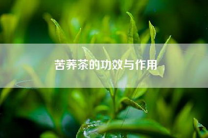 苦荞茶的功效与作用