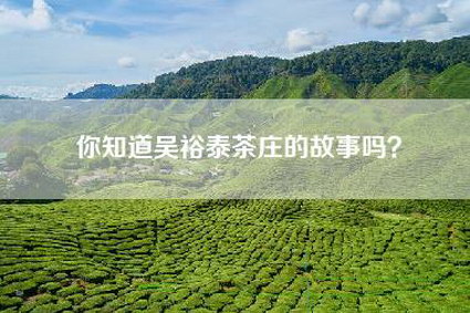 你知道吴裕泰茶庄的故事吗？