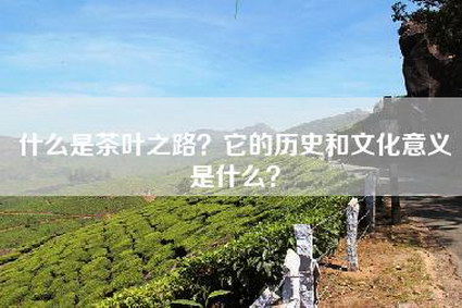 什么是茶叶之路？它的历史和文化意义是什么？