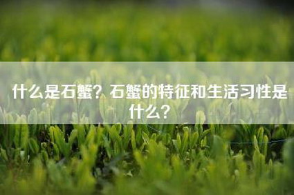 什么是石蟹？石蟹的特征和生活习性是什么？