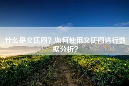 什么是文氏图？如何使用文氏图进行数据分析？