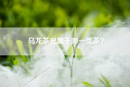 乌龙茶是属于哪一类茶？