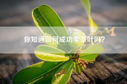 你知道如何成功卖茶叶吗？