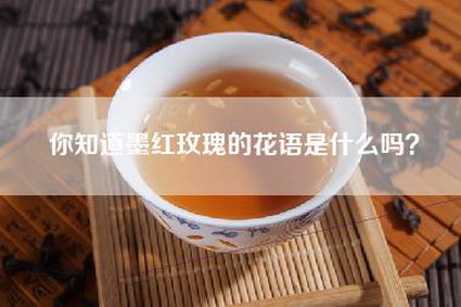 你知道墨红玫瑰的花语是什么吗？